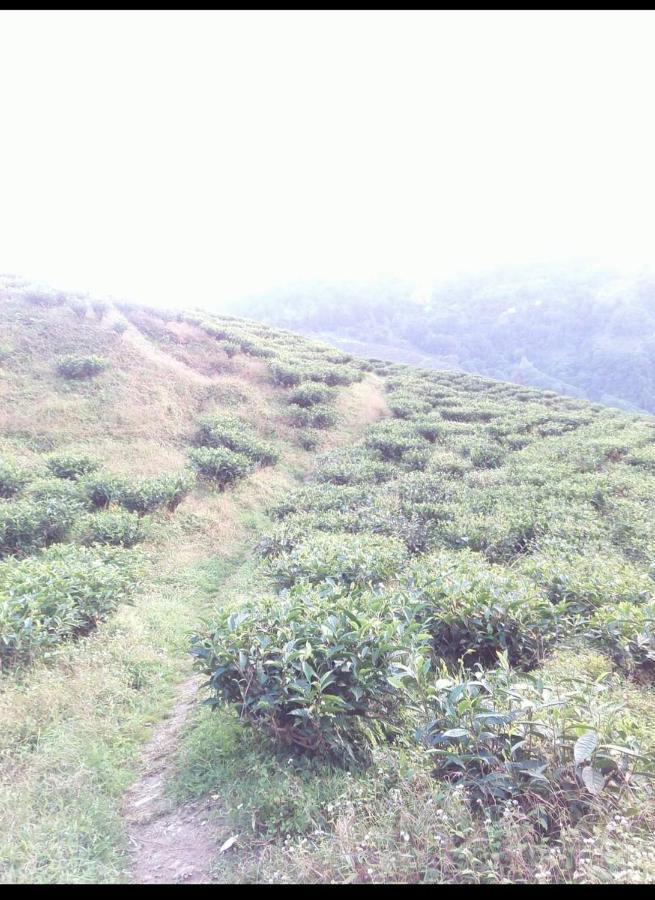 Joe'S Farm Villa Darjeeling  Bagian luar foto